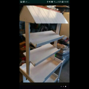 Camarera carro  actual 01