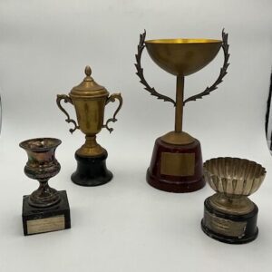 Trofeo ajedrez - damas - domino 01